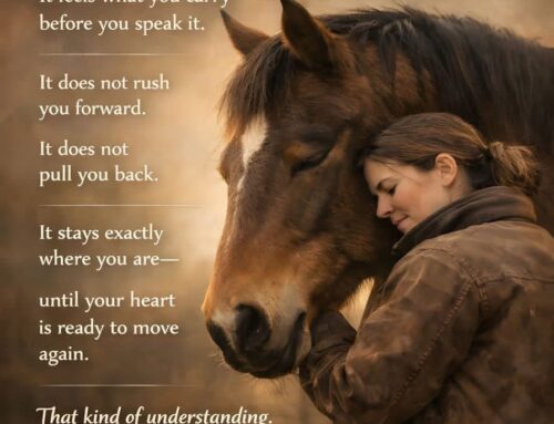 The Comfort of Being Understood