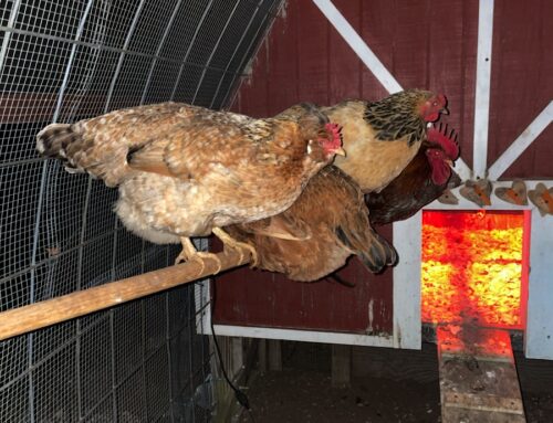 Learning From Trauma