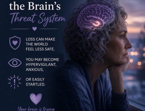 Impact of Grief on the Brain